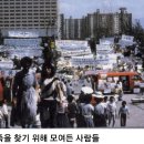 금광물산 이미지