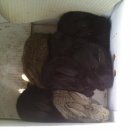 미니농장 이미지