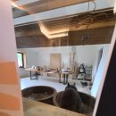 고양이숲 이미지