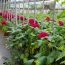 서상동경로당 이미지