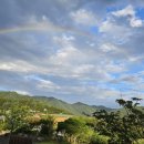 센츄리(아) 이미지