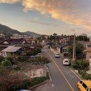 스테이 레브 이미지