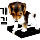 앙또르과자점 이미지