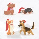 현리동물병원 | 서귀포 애견 동반 호텔 애견과 같이하는 자이전거 타기 좋은 호텔 bowwow