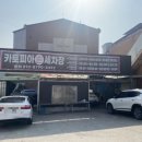 카토피아손세차 이미지