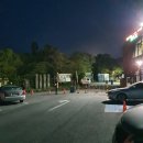 [여행] 4월의 한라산등반! (등산초보의 리얼후기)