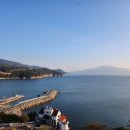 아리아펜션 | 여수펜션 아리아펜션&amp;리조트 내돈내산후기