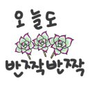 한화인테리어필림 이미지