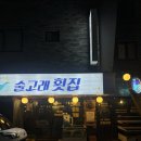 당전약국 | [청주/술고래 횟집] - 충북대 가성비 횟집 2,3차 술집 추천 내돈내산 솔직후기