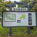 무릉도원면-39 네이버블로그