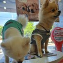 구평동물병원 이미지