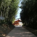 죽녹원첫집 이미지