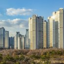 강남역센트럴부동산공인중개사사무소 이미지