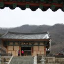 사자후 태권도 | 용과 족제비의 술래잡기를 찾아서 불갑사(佛甲寺)로