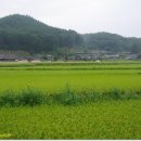 청량산하루민박
