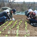 다둥이농장 이미지