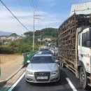 둔전2리 이미지