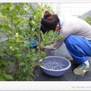 시항골농장 이미지