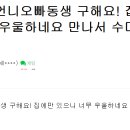 비극으로 끝나버린 한 약물중독 환자의 사연 제발 도와주십시오 살려주십시오! 이미지