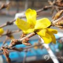 개나리아파트 놀이터 이미지