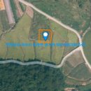 대포리목장 이미지