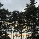 장항오토캠핑장 | [대전근교/서천] 오션뷰 캠핑장추천, 장항오토캠핑장