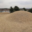 원유남 선생묘 이미지