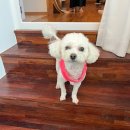 애월309 뷰 스테이 이미지