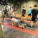 PUSHUP GYM 이미지