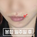 강동실비