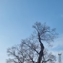 관아공원 이미지