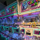 뽑고가냥 이미지