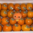 RING PC방 | 2025. 12