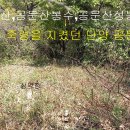 용부원1리 이미지