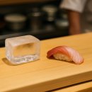 도마스시 이미지