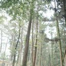 도신축산 | 제주 돌스냅 전문 디테일이 남다른 나나스냅 신상컨셉