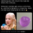 새새각각 버드쓰담 캠페인 : 천수만 겨울철새 먹이 나누기 참여 후기 🦅