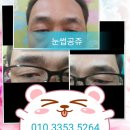 눈썹공쥬