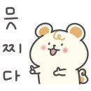 대림키즈체육관 이미지