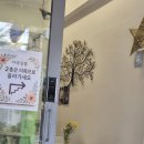 샬롬스터디