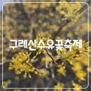 구례산수유꽃축제 방문후기 by해피버스클럽여행사
