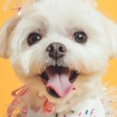 헬로우