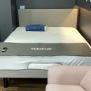 템퍼;쇼파279