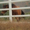 장수목장 이미지