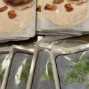 청춘한약국 이미지