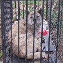 완월동225 이미지