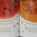 지혜서점 이미지