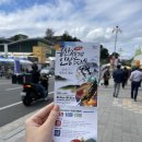 금산-55 | 55. 우주의 금산인삼축제 자세한 후기 (주차/셔틀버스/먹거리/즐길거리)