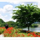 요산공원 이미지