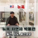 카페히스토리 (History) | 🦖 뉴욕 자연사박물관 방문 후기 &amp; 마이리얼트립 티켓 예매 꿀팁